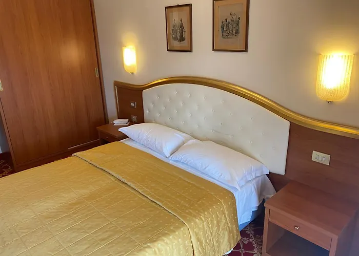 米兰斯佩兰莎奥拉克酒店 4* 斯特雷萨